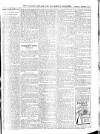 Wicklow News-Letter and County Advertiser Saturday 03 December 1910 Page 11