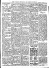 Wicklow News-Letter and County Advertiser Saturday 21 January 1911 Page 11