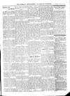 Wicklow News-Letter and County Advertiser Saturday 25 May 1912 Page 7