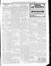 Wicklow News-Letter and County Advertiser Saturday 11 January 1913 Page 11