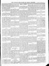Wicklow News-Letter and County Advertiser Saturday 25 January 1913 Page 7