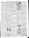 Wicklow News-Letter and County Advertiser Saturday 25 January 1913 Page 11