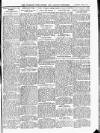 Wicklow News-Letter and County Advertiser Saturday 08 March 1913 Page 11