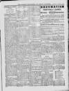 Wicklow News-Letter and County Advertiser Saturday 24 January 1914 Page 7