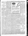 Wicklow News-Letter and County Advertiser Saturday 08 January 1916 Page 5