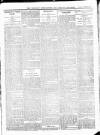 Wicklow News-Letter and County Advertiser Saturday 04 November 1916 Page 3