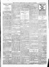 Wicklow News-Letter and County Advertiser Saturday 10 February 1917 Page 6