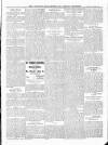 Wicklow News-Letter and County Advertiser Saturday 17 November 1917 Page 5
