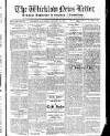 Wicklow News-Letter and County Advertiser Saturday 18 January 1919 Page 1