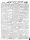 Wicklow News-Letter and County Advertiser Saturday 01 February 1919 Page 7