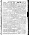 Wicklow News-Letter and County Advertiser Saturday 15 February 1919 Page 7