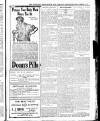 Wicklow News-Letter and County Advertiser Saturday 15 February 1919 Page 9