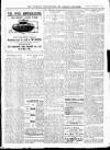 Wicklow News-Letter and County Advertiser Saturday 22 February 1919 Page 3