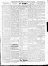 Wicklow News-Letter and County Advertiser Saturday 22 February 1919 Page 7