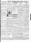Wicklow News-Letter and County Advertiser Saturday 01 March 1919 Page 5