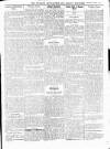 Wicklow News-Letter and County Advertiser Saturday 01 March 1919 Page 7