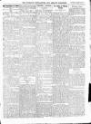 Wicklow News-Letter and County Advertiser Saturday 29 March 1919 Page 7