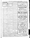 Wicklow News-Letter and County Advertiser Saturday 21 June 1919 Page 3