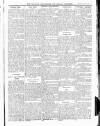 Wicklow News-Letter and County Advertiser Saturday 21 June 1919 Page 7