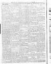 Wicklow News-Letter and County Advertiser Saturday 28 June 1919 Page 10