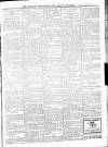 Wicklow News-Letter and County Advertiser Saturday 01 November 1919 Page 3
