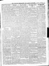 Wicklow News-Letter and County Advertiser Saturday 22 November 1919 Page 7