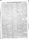 Wicklow News-Letter and County Advertiser Saturday 27 December 1919 Page 7