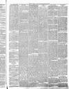 Wicklow People Saturday 26 March 1892 Page 3