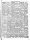 Wicklow People Saturday 25 March 1893 Page 3