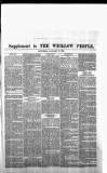 Wicklow People Saturday 19 January 1895 Page 5