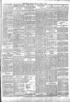 Wicklow People Saturday 14 September 1895 Page 3