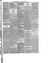 Wicklow People Saturday 20 February 1897 Page 7