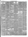 Wicklow People Saturday 12 November 1898 Page 7