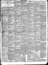 Wicklow People Saturday 10 May 1902 Page 13