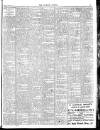 Wicklow People Saturday 18 January 1908 Page 13