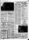 Wicklow People Saturday 18 March 1967 Page 7