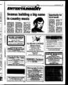 Wicklow People Friday 25 March 1994 Page 37