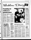 Wicklow People Friday 17 March 1995 Page 23