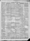 Carlisle Express and Examiner Saturday 02 April 1870 Page 5