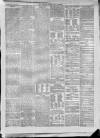 Carlisle Express and Examiner Saturday 23 April 1870 Page 5