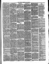 Carlisle Express and Examiner Saturday 17 January 1874 Page 5