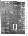 Carlisle Express and Examiner Saturday 16 January 1875 Page 5