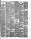 Carlisle Express and Examiner Saturday 23 January 1875 Page 3