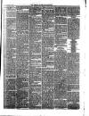 Carlisle Express and Examiner Saturday 01 May 1875 Page 5