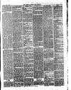 Carlisle Express and Examiner Saturday 12 June 1875 Page 5