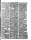 Carlisle Express and Examiner Saturday 30 October 1875 Page 5