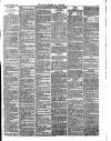 Carlisle Express and Examiner Saturday 20 November 1875 Page 3