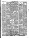 Carlisle Express and Examiner Saturday 05 February 1876 Page 3