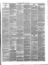 Carlisle Express and Examiner Saturday 19 February 1876 Page 3