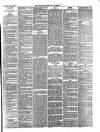 Carlisle Express and Examiner Saturday 29 April 1876 Page 3